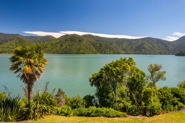 2 Cook Street Havelock_9