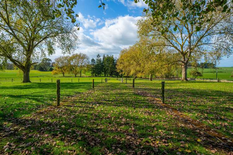 17 Rewa Road Morrinsville_17