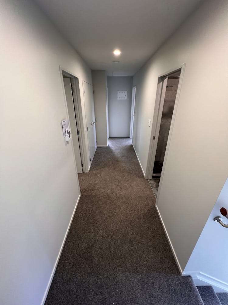 17a Knox Road Swanson_18