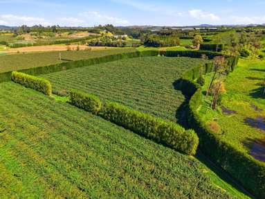 206 Casuarina Drive_3