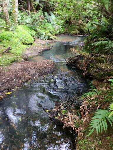 1 Knudsen Road, Awarua_1