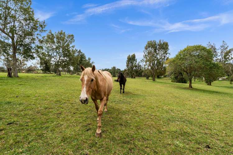 199A Waipapa West Road Waipapa_19