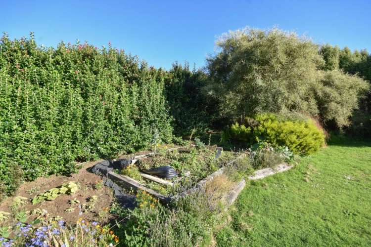 40 Mooltan Street Halfway Bush_7