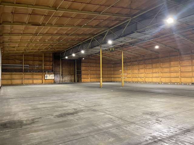 488 Nayland Road Stoke_2