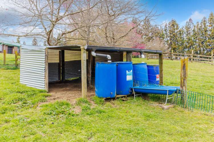 423 Waikeria Road Kihikihi_25