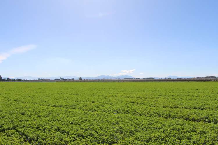 Naughton Road Kerrytown_5