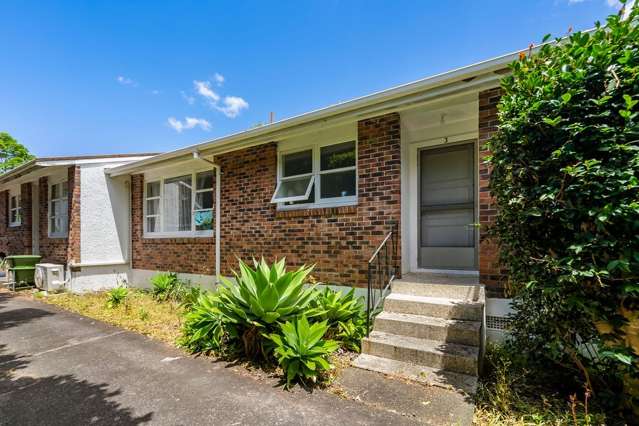 3/9 Wright Road Point Chevalier_1