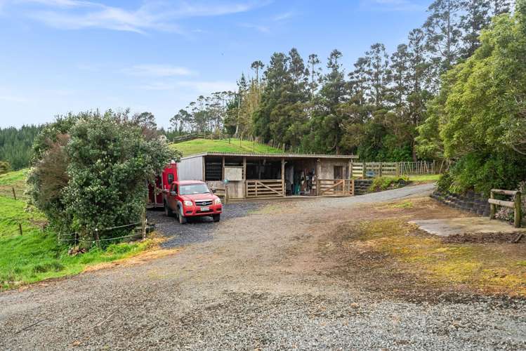 214 Milne Road Ruatangata_12