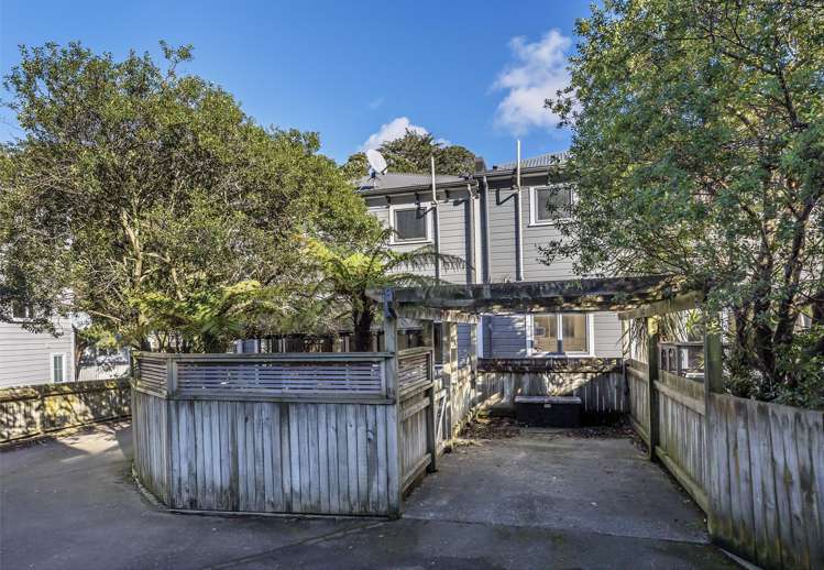 164 Aro Street Aro Valley_21