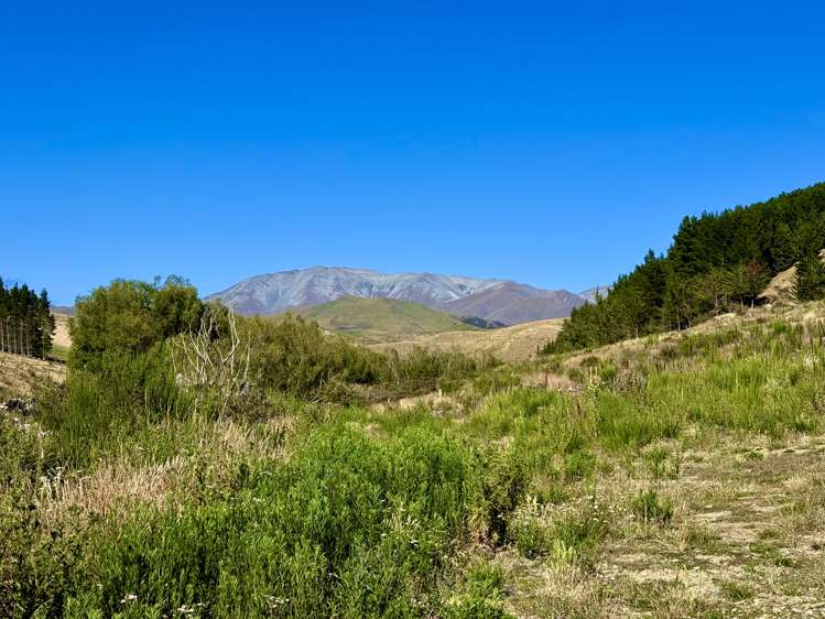 Diggers Gully Road Kurow_26