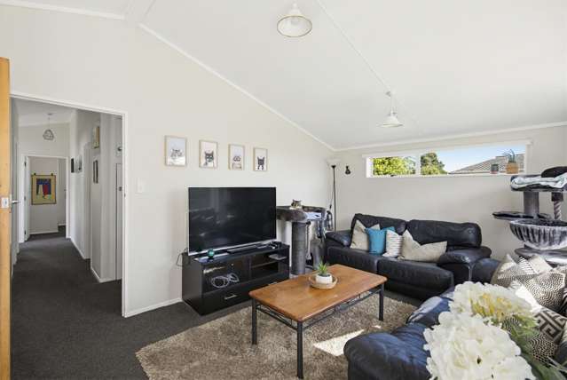 27 Morgan Crescent Levin_4
