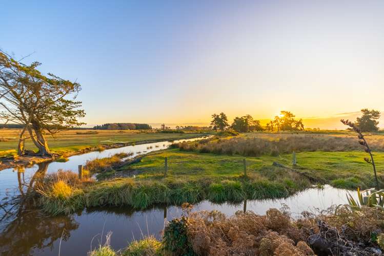 95 Dunns Avenue The Pines Beach_21