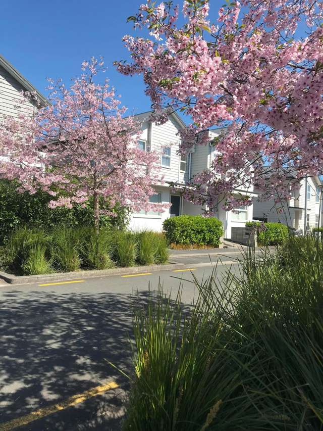 20 Lester Street Hobsonville_3