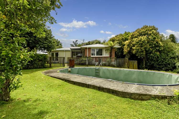 474 Fraser Street Parkvale_3