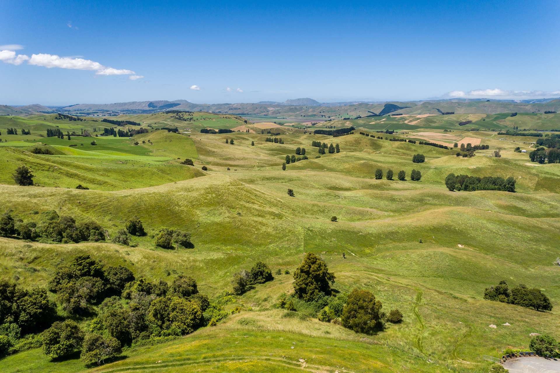 Lot 2/440 Te Onepu Road Raukawa_0
