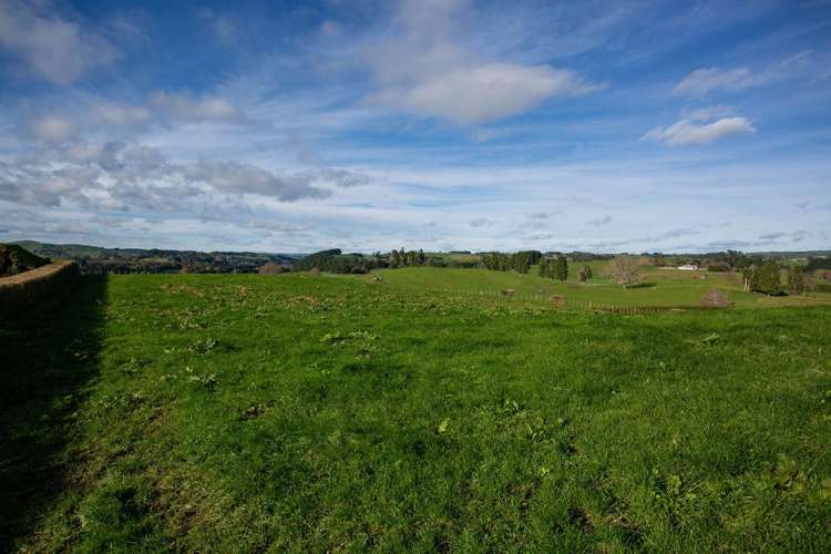 899 Maungatautari Road Cambridge_8