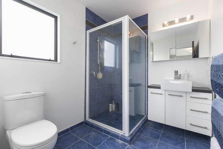 43 Harbelle Close Bethlehem_11