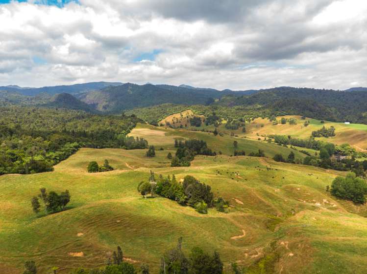 249 Franklin Road Waihi_17