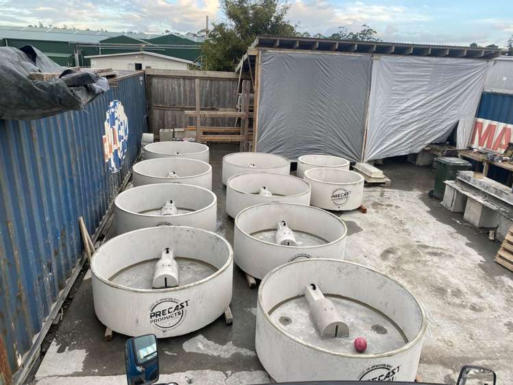 Pataka Lane Waipapa_19