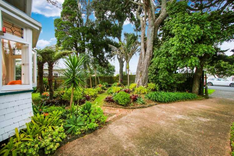 5a Holly Street Avondale_16