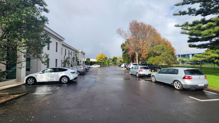 Ground Floor/637 Rosebank Road Avondale_11