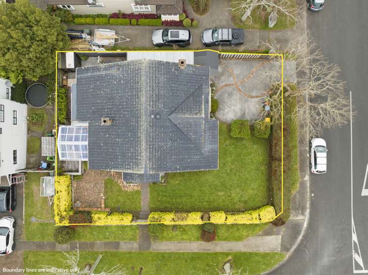 3 Douglas Avenue Mount Albert_19