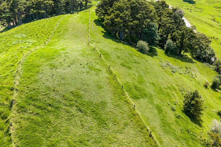 278 Griffin Road Maungaturoto_21