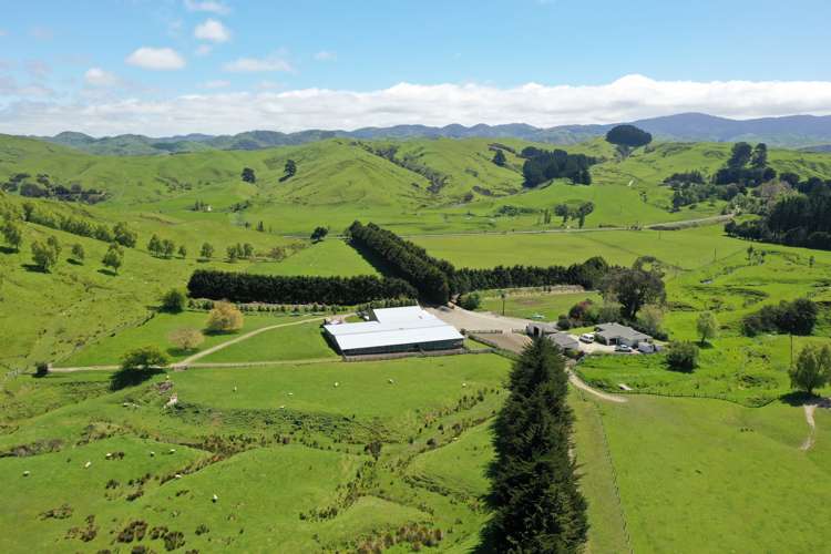 13151 Puketawa Road Tiraumea_9