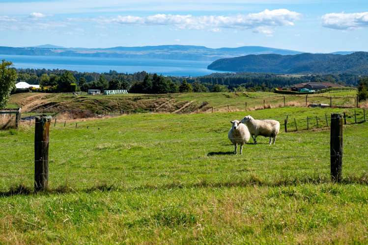 69 Hitiri Road Kinloch_27