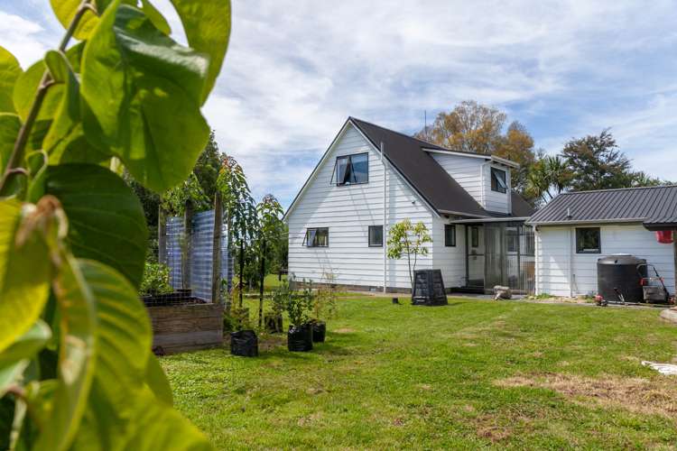 46 Onekaka Iron Works Road Kahurangi National Park_14