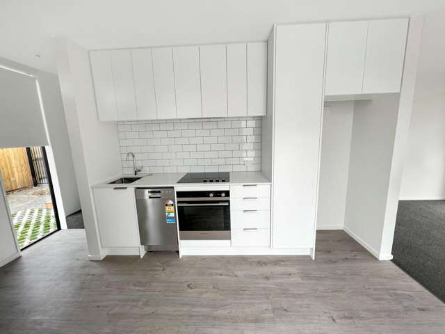 11F Hinemoa St Spreydon_1