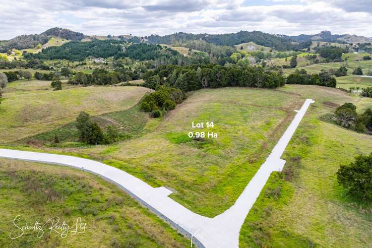 Whakapirau Road Maungaturoto_26