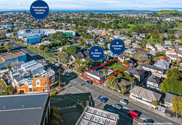 CALLING DEVELOPERS, INVESTORS, & LAND BANKERS