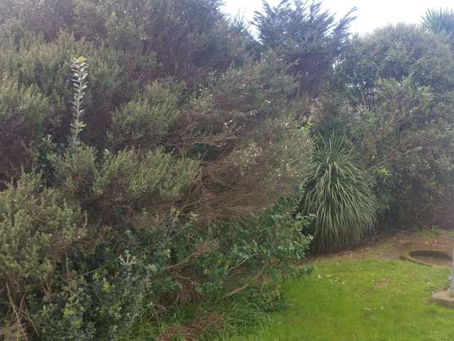 3/24 Gladstone Road Parnell_2