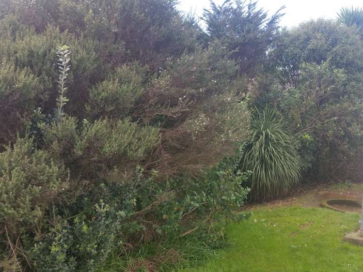 3/24 Gladstone Road Parnell_2