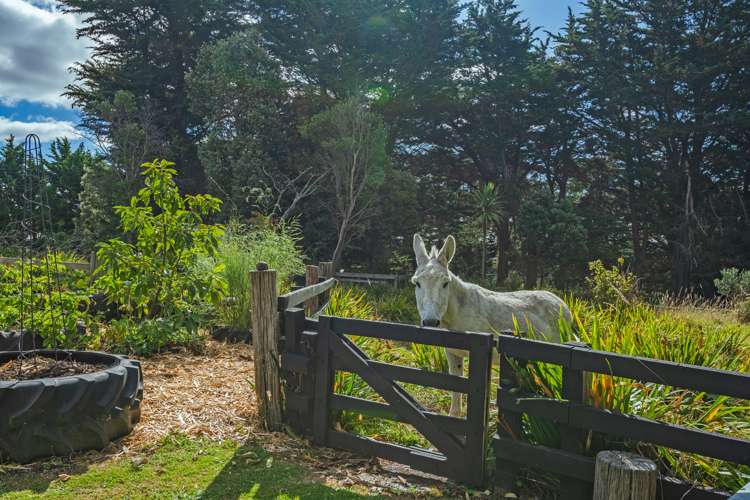 767 Wanganui Road Turakina_17