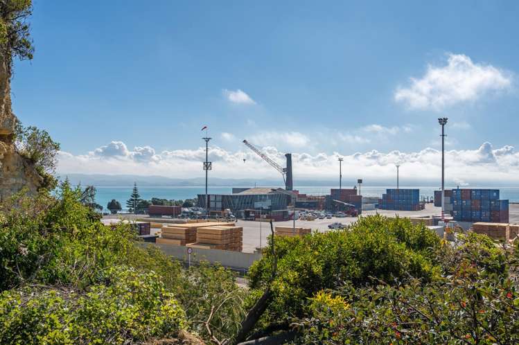 3 Hornsey Road Bluff Hill_11