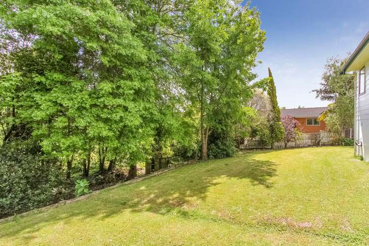 37 Adam Sunde Place Glen Eden_3