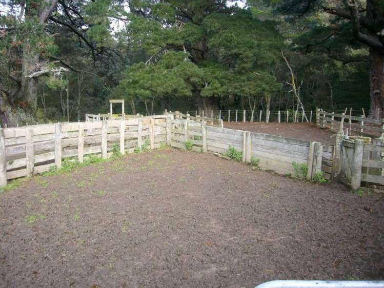 419 Spur Road Pongaroa_26