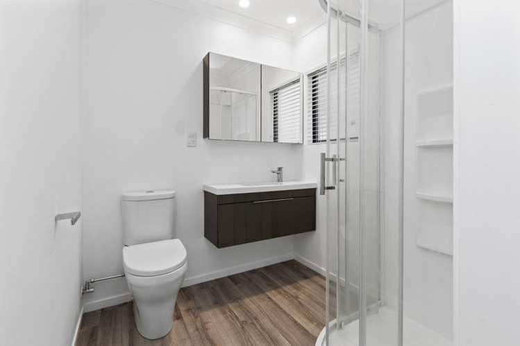 29 Williamson Street 11373_12