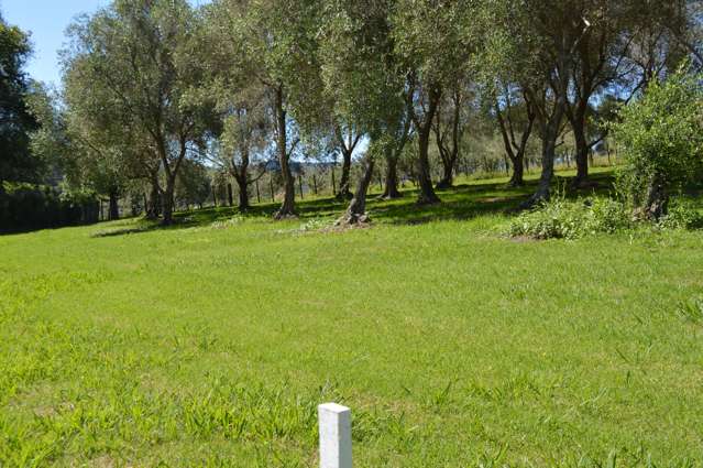 Build your new home in an Olive Grove!