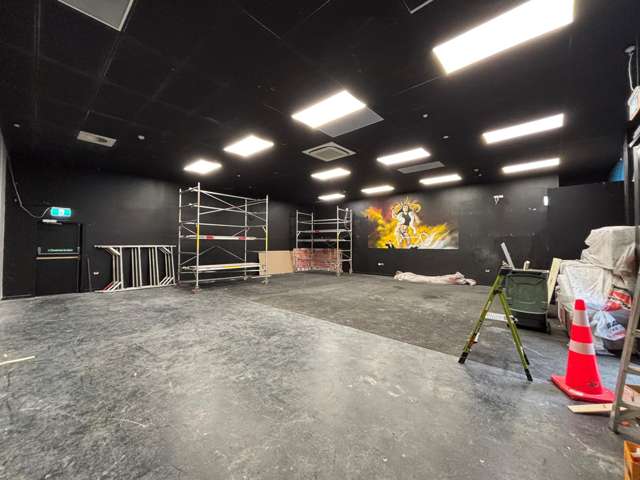 5 Nurseryman Lane Christchurch Central_4