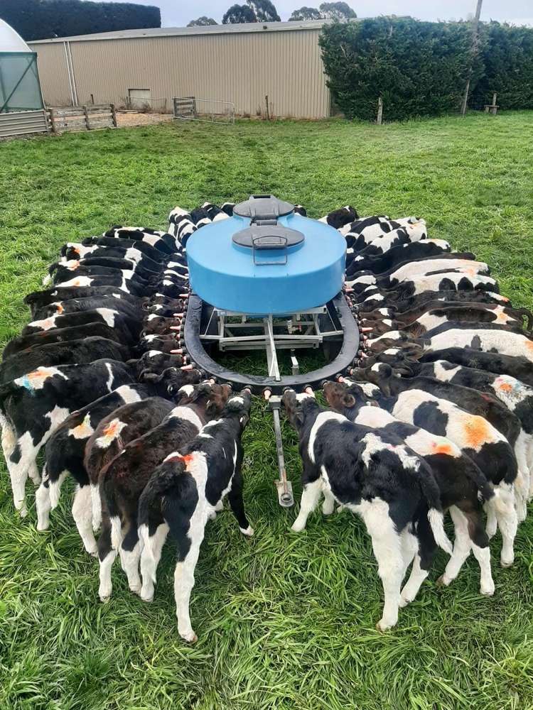 134 Longbeach Road Willowby_22