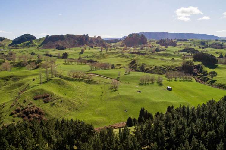 145 Totara Road Ngakuru_6