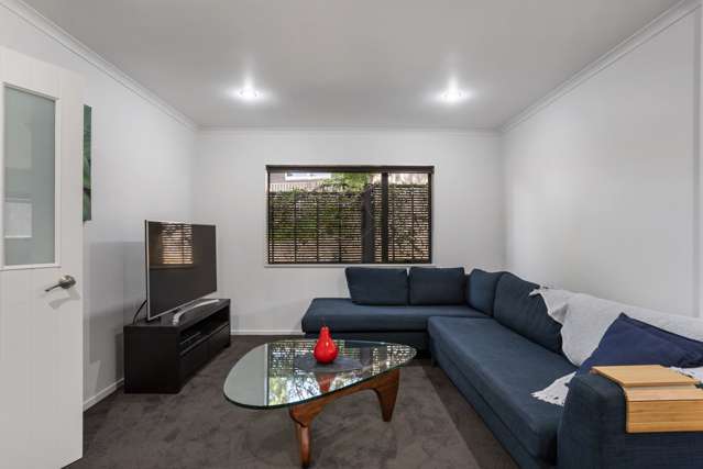 52 Seaview Terrace Mount Albert_1