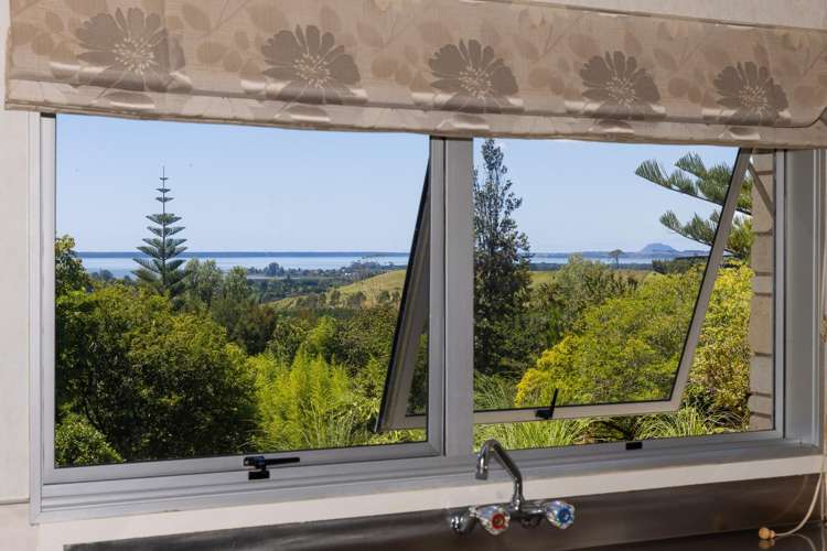 236 Willoughby Road Tahawai_38