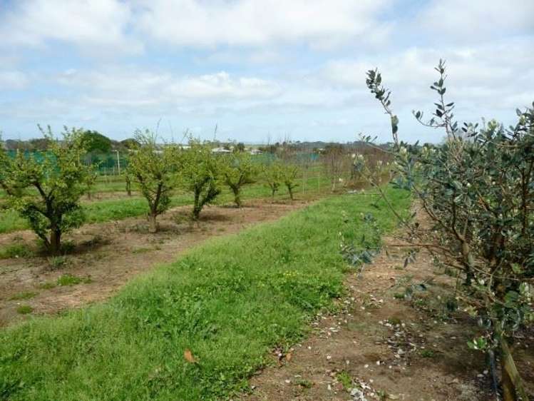 165a State Highway 1 Awanui_14