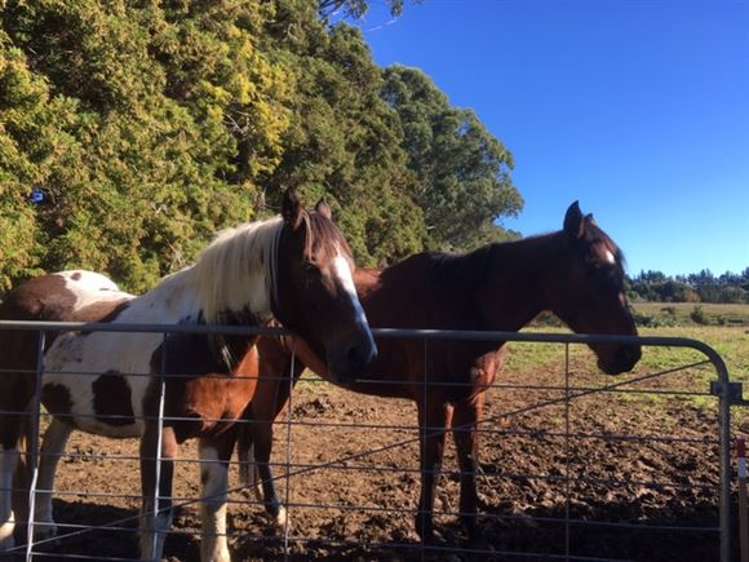 27 Redcliffs Road Kerikeri_20