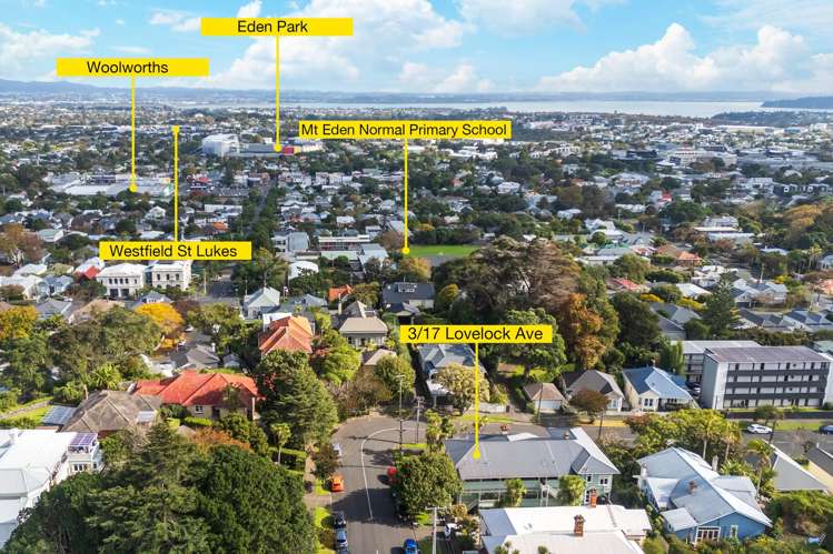 3/17 Lovelock Avenue Mount Eden_27