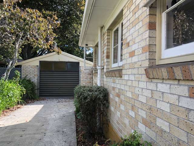 41 Nixon Street Hamilton East_1